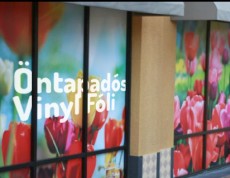 Öntapadós Vinyl fólia